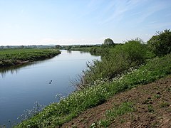 Der Fluss Eden unterhalb von Crosby-on-Eden (Geografie 3494051) .jpg