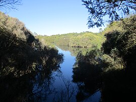 The Spectacles Wetlands, červenec 2019 04.jpg