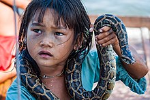 A little girl making money for her family by posing with a snake in a water village of Tonle Sap Lake Tonle Sap Siem Reap Cambodia Girl-begging-for-money-with-snake-01.jpg