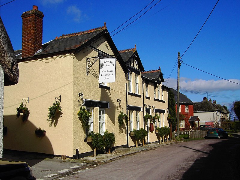 File:True Heart pub, Bishopstone, Swindon - geograph.org.uk - 355585.jpg