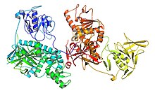 Трипанотион Synthase.jpg