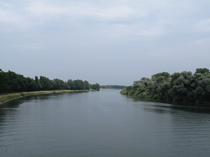 File:Tussen Marckolsheim en Sasbach, de Rijn foto2 2013-07-24 14.40.jpg