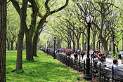 Central Park