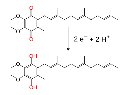 File:Ubiquinone–ubiquinol conversion.svg