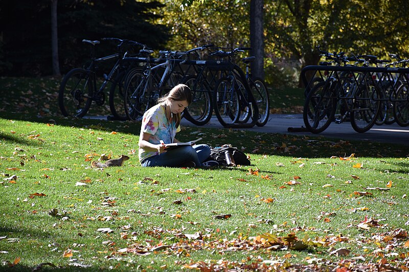 File:University of Colorado Boulder DSC 0033.jpg