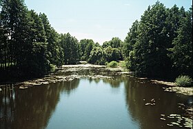 Река Усманка в заповеднике