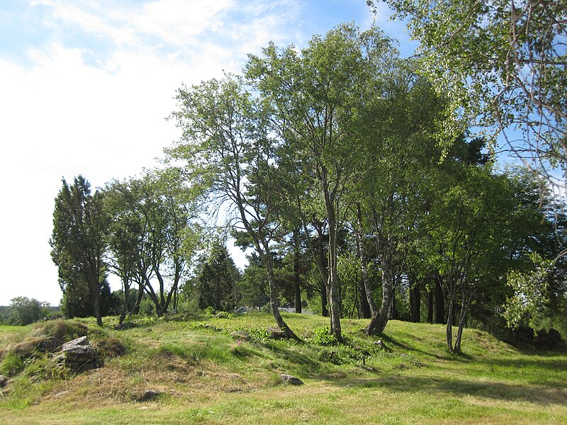 File:Vainionmäki Iron Age cemetery.jpg