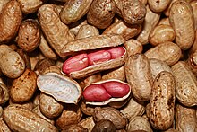 List of culinary nuts - Wikipedia