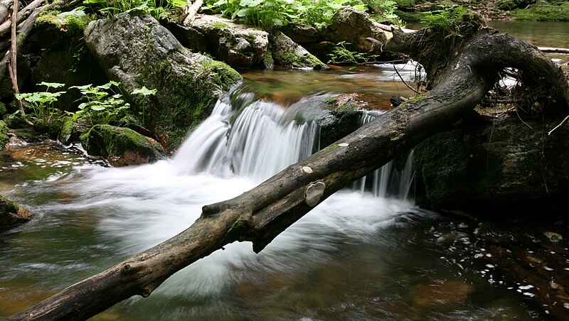 File:Valey of Bila Opava River.jpg