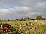 Landschap met molen van Makkum