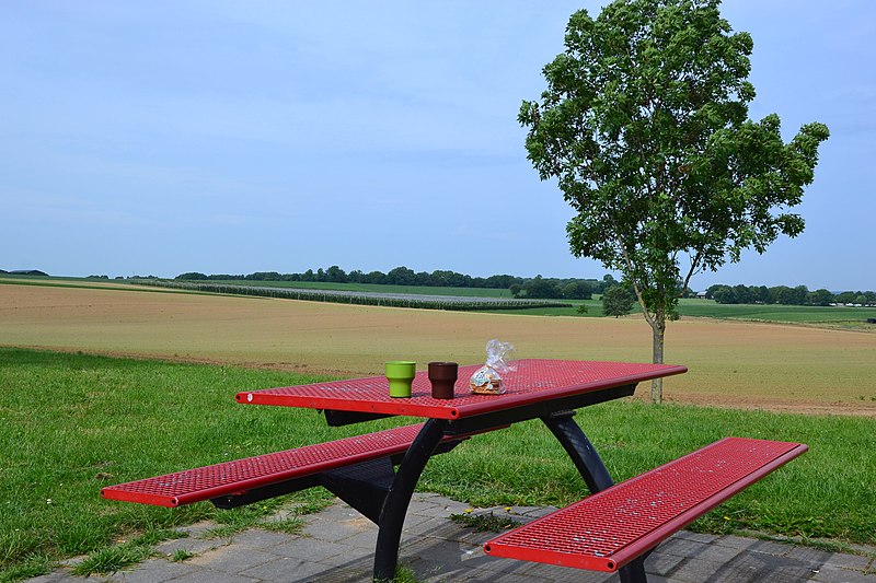 File:Vossedal rest area view towards West.jpg