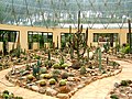 Vườn ươm thạch thảo và xương rồng trong Vườn quốc gia Ba Vì