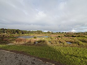 Waiatarua Reserve 20230527 155339.jpg