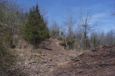 Walter kidde dinosaur park