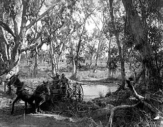 <span class="mw-page-title-main">Elsey Station</span> Pastoral lease in the Northern Territory, Australia