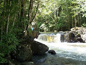 Водопад рядом с Парамакатой, Гайана