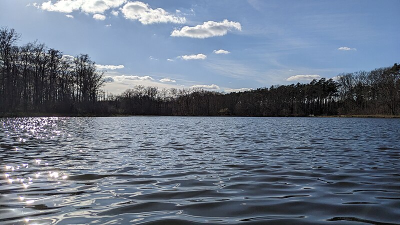 File:Waves on a lake.jpg