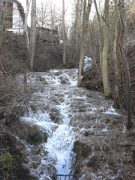 Weißenbrunn Birkertsbach 05