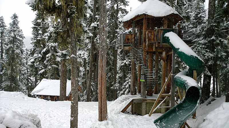 File:Whistler tree fort (11138906444).jpg