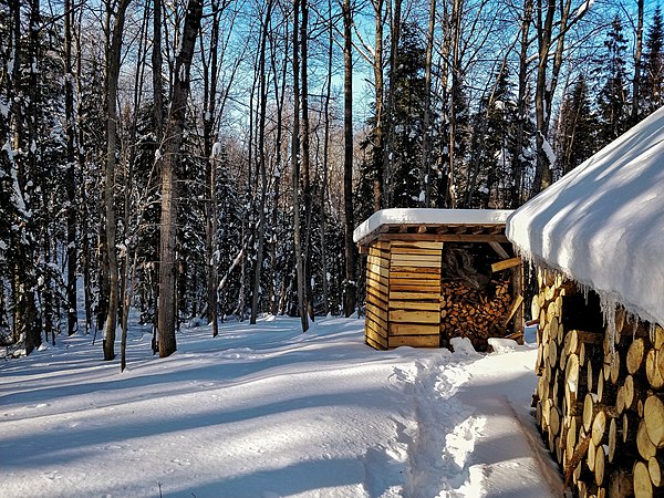 Wood stored as fuel for Bonfire