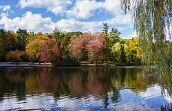 Malgranda lago antaŭ aŭtun-foliaraj arboj