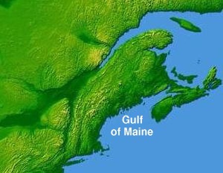 Tập_tin:Wpdms_nasa_topo_gulf_of_maine.jpg