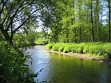 Wurm bei Herzogenrath