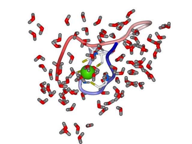 The structural zinc binding motif in alcohol dehydrogenase from an MD simulation