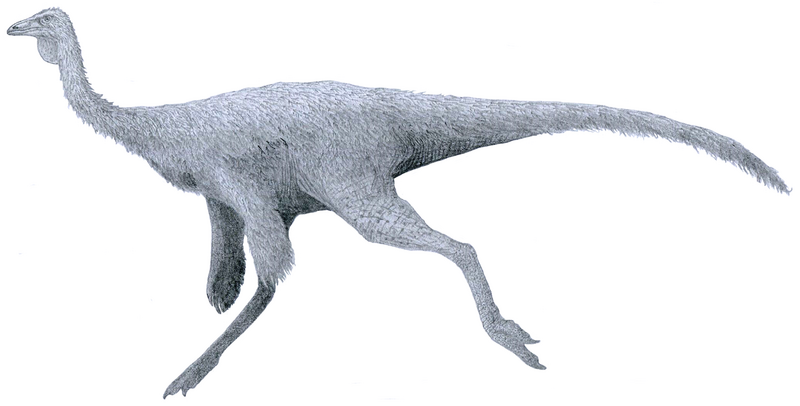 File:"Ornithomimus" sp. by Tom Parker.png