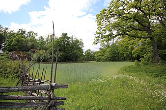 Åker vid Hemvreten.