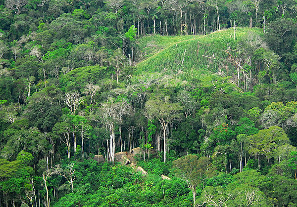 Members of an uncontacted tribe encountered in the Brazilian state of Acre in 2009