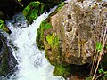 Waterfall. August 2010