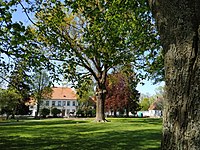 Yasnaya Polyana, Kaliningrad Oblast