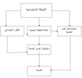 تصغير للنسخة بتاريخ 16:13، 17 يناير 2021