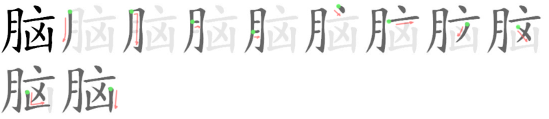 File:脑-bw.png