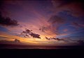 馬毛島、岳之越から望む夕暮れの東シナ海（2000年4月）