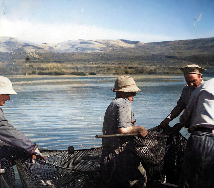 File:100790 kibbutz dan - fish PikiWiki Israel.jpg