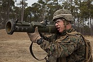 2-8 Live Fire Manuever 140225-M-BZ307-087.jpg