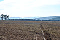 Landschaft südlich von Hesselbach