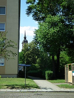 Weinligstraße in Dresden