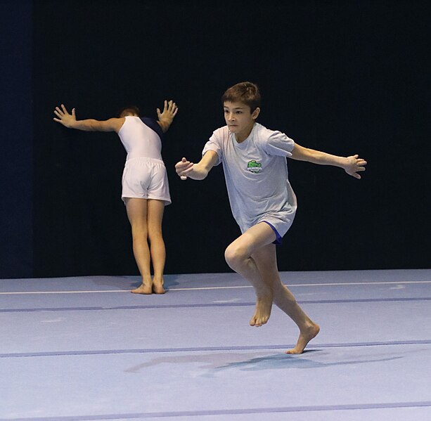 File:2022-11-19 MAG all-around competition warm-up Floor exercise at Jan Gajdoš Memorial 2022 (Martin Rulsch) 149.jpg