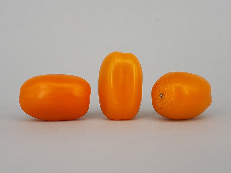 File:3 x Cherry Bambelo tomato 2017 A4a.jpg