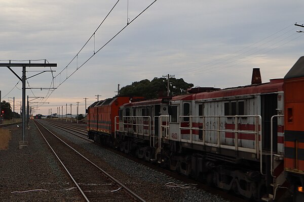 Image: 48s 33 & 48s 36 Coolaroo