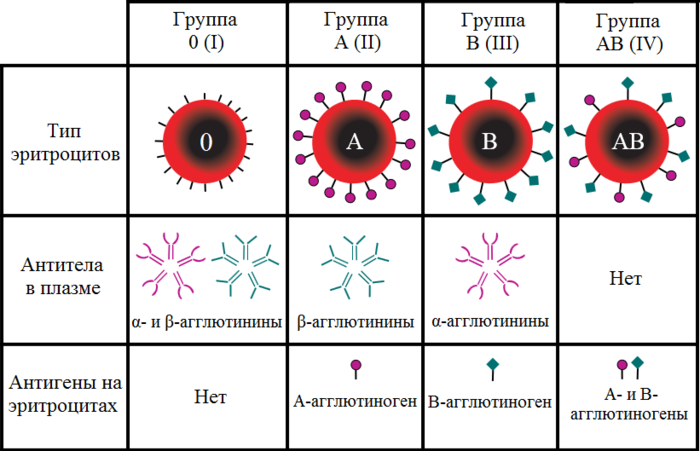 Кровь 1 4