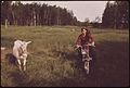 ANN SCHINDLER ON MOTORBIKE, GOAT ON CHAIN, IN A PASTURE IN GRYGLA - NARA - 554195.jpg