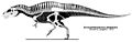 Acrocanthosaurus atokensis.jpg