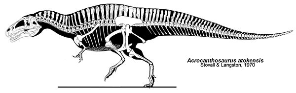 Skeletal diagram