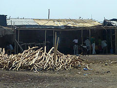 Afdera - Casas em chapa e madeira (1) .jpg