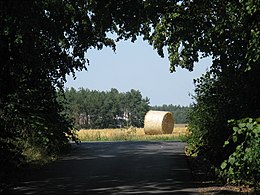 Obrázek v Infoboxu.