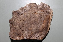 A sample of rhyolite from the Allandale Rhyolite, Lyttelton, New Zealand